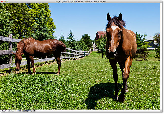 THe photo is once again in color. Image © 2012 Photoshop Essentials.com