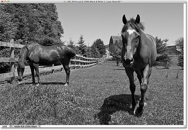 The photo has been converted from color to black and white. Image © 2012 Photoshop Essentials.com