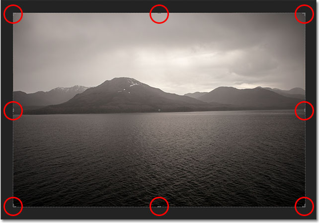 Photoshop CS6 automatically places a crop box and handles around the image. Image © 2012 Photoshop Essentials.com