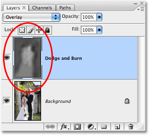 The layer preview thumbnail in the Layers palette.  Image © 2008 Photoshop Essentials.com.