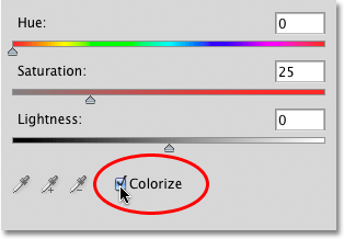 Selecting the Colorize option for the Hue/Saturation adjustment layer in Photoshop. Image © 2010 Photoshop Essentials.com