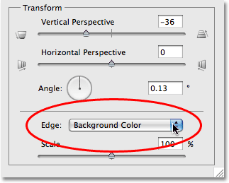 Setting the Edge option in the Lens Correction dialog box in Photoshop CS4. Image © 2009 Photoshop Essentials.com