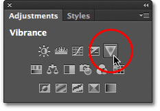 Adding a Vibrance adjustment layer to the document. Image © 2012 Photoshop Essentials.com