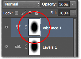 The Layers panel showing the Vibrance adjustment layer. Image © 2012 Photoshop Essentials.com