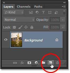 Clicking the New Layer icon in the Layers panel. Image © 2014 Photoshop Essentials.com