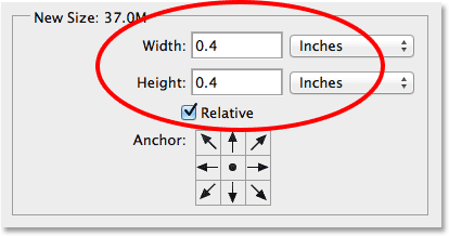 The Relative option and the center Anchor grid box are both selected. Image © 2014 Photoshop Essentials.com