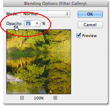 The Blending Options for the Smart Filter in Photoshop CS6. Image © 2012 Photoshop Essentials.com.