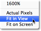 Selecting the Fit in View option in the Filter Gallery. Image © 2012 Photoshop Essentials.com.