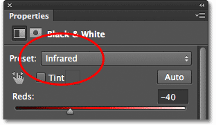 Choosing the Infrared preset for the Black & White adjustment layer. Image © 2012 Photoshop Essentials.com.