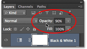 Lowering the adjustment layer's opacity in the Layers panel. Image © 2012 Photoshop Essentials.com.