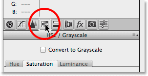 Clicking the HSL / Grayscale tab in the Camera Raw Filter dialog box. Image © 2014 Photoshop Essentials.com
