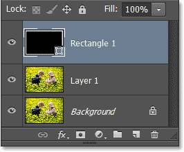 The new Shape layer appears in the Layers panel. Image © 2013 Photoshop Essentials.com