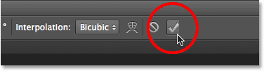 Clicking the checkmark in the Options Bar. Image © 2013 Photoshop Essentials.com