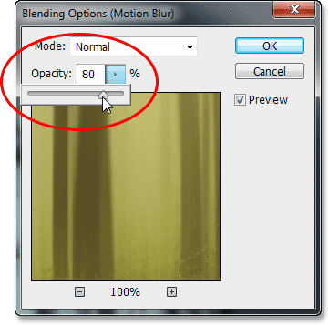 Adjusting the opacity of the Motion Blur Smart Filter. Image © 2013 Photoshop Essentials.com