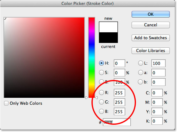 Choosing white for the stroke color in the Color Picker. Image © 2014 Photoshop Essentials.com.