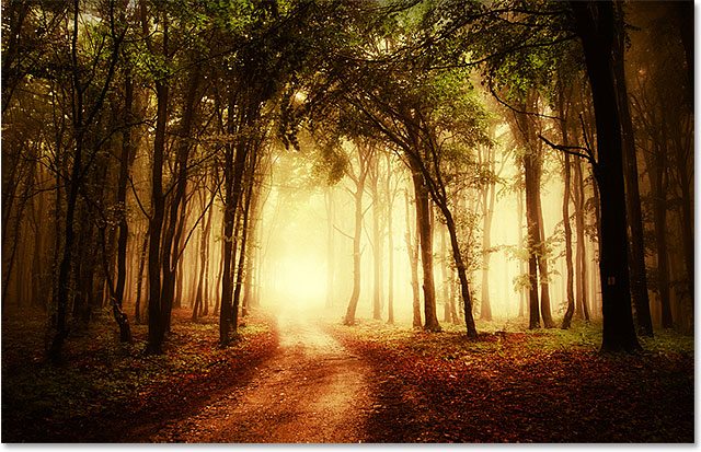 Road through a golden forest image licensed from Shutterstock by Photoshop Essentials.com