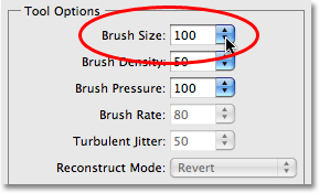 Using the default brush size in Photoshop's Liquify filter. Image © 2009 Photoshop Essentials.com.