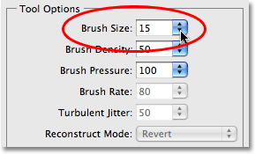 Choosing a smaller brush size in the Liquify filter. Image © 2009 Photoshop Essentials.com.
