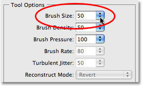 Choosing a larger brush size in the Liquify filter. Image © 2009 Photoshop Essentials.com.