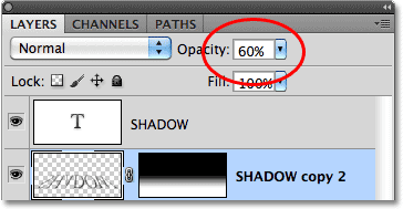 Lowering the layer opacity to 50%. Image © 2010 Photoshop Essentials.com.