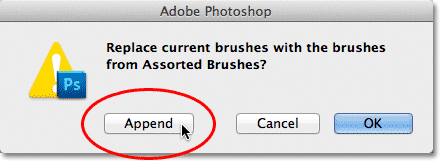 Appending the new brush set with the current brushes. Image © 2011 Photoshop Essentials.com