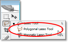 Selecting the Polygonal Lasso tool from the Tools palette.