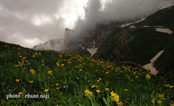 کوهستان اکوتوریسم