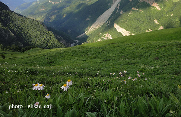 کوهستان اکوتوریسم