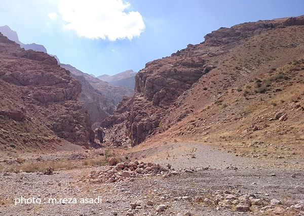 کوهستان اکوتوریسم