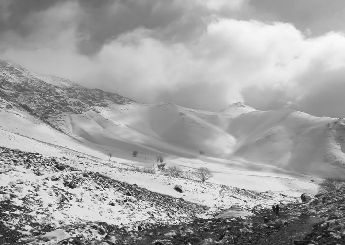 برف های خوشبختی